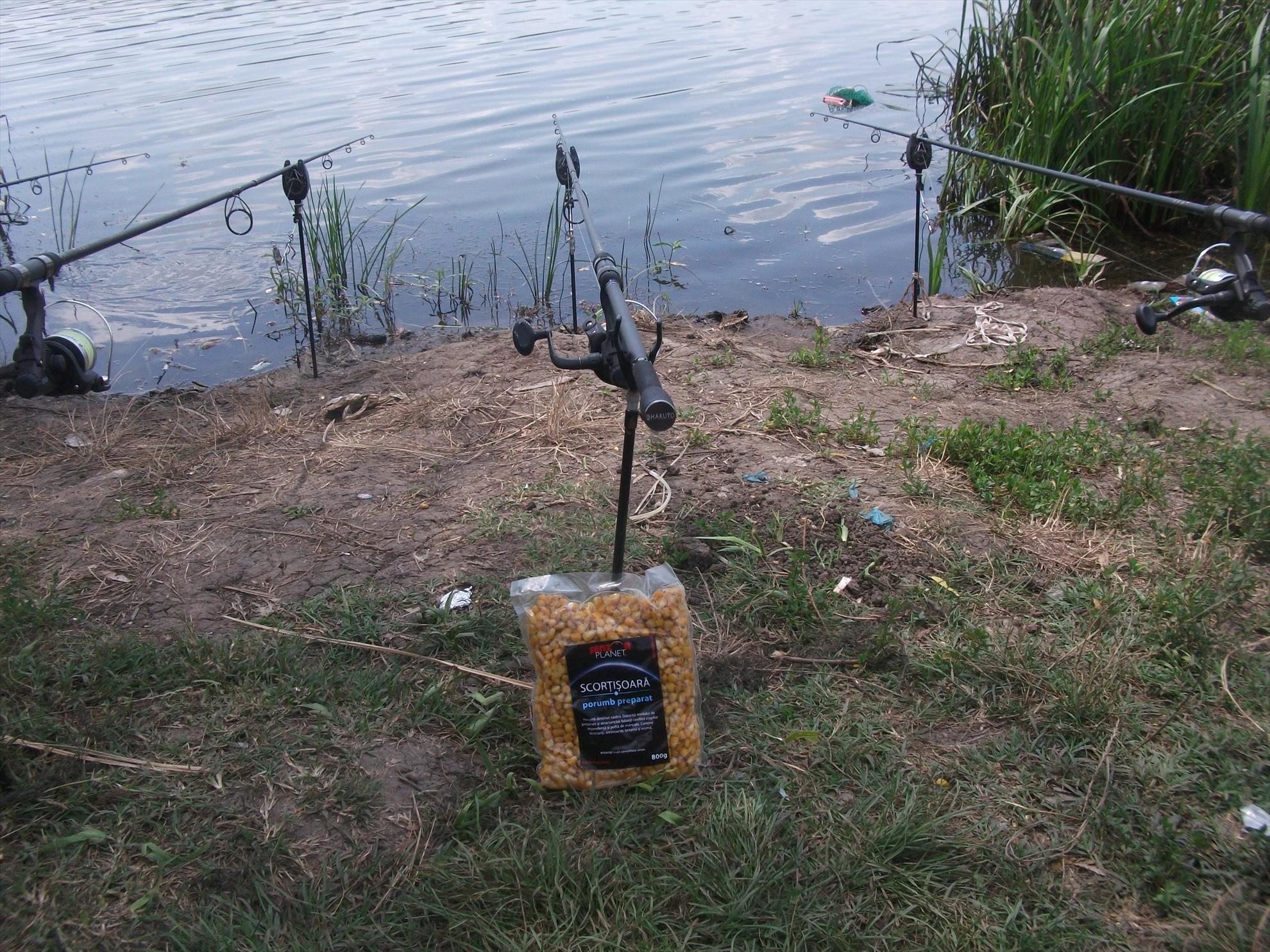 Walter 25-26.07.2013 - dscf0756.jpg